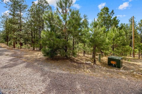 Tiny photo for TBD CR2325, Alpine, AZ 85920 (MLS # 256739)