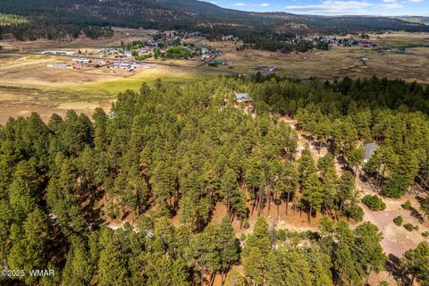 Tiny photo for TBD CR2325, Alpine, AZ 85920 (MLS # 256739)