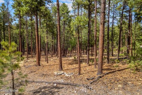 Tiny photo for TBD CR2325, Alpine, AZ 85920 (MLS # 256739)