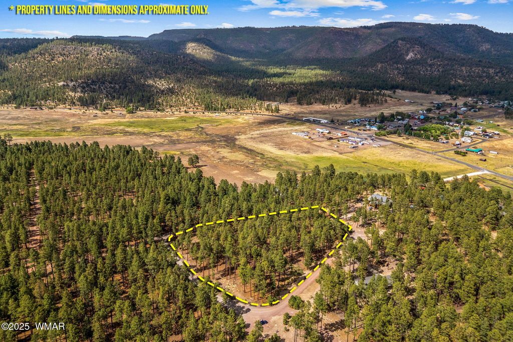 Photo for TBD CR2325, Alpine, AZ 85920 (MLS # 256739)