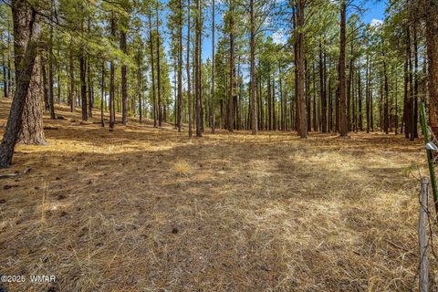 Tiny photo for TBD CR2325, Alpine, AZ 85920 (MLS # 256739)