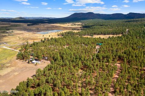 Tiny photo for TBD CR2325, Alpine, AZ 85920 (MLS # 256739)