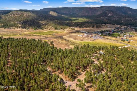 Tiny photo for TBD CR2325, Alpine, AZ 85920 (MLS # 256739)