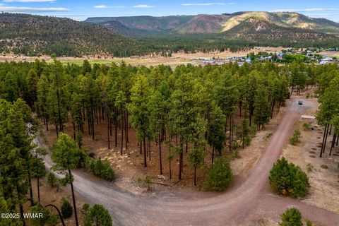 Tiny photo for TBD CR2325, Alpine, AZ 85920 (MLS # 256739)