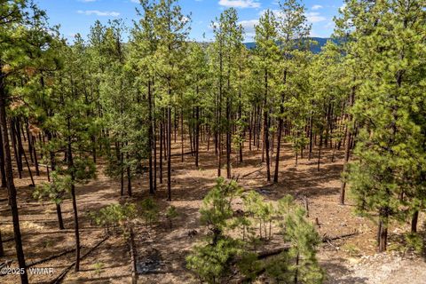 Tiny photo for TBD CR2325, Alpine, AZ 85920 (MLS # 256739)