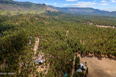 Tiny photo for TBD CR2325, Alpine, AZ 85920 (MLS # 256739)