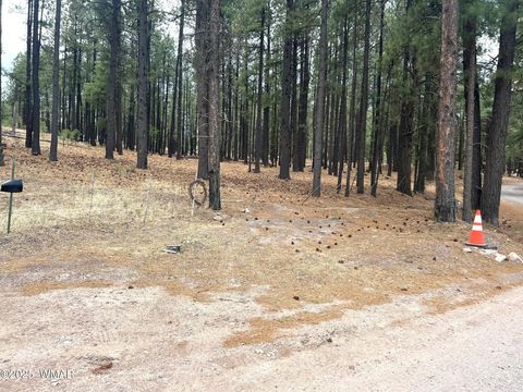 Tiny photo for TBD CR2325, Alpine, AZ 85920 (MLS # 256739)