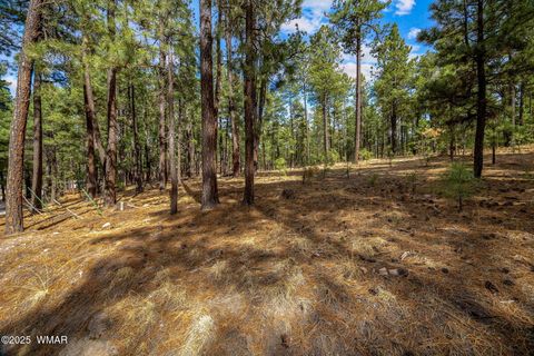 Tiny photo for TBD CR2325, Alpine, AZ 85920 (MLS # 256739)