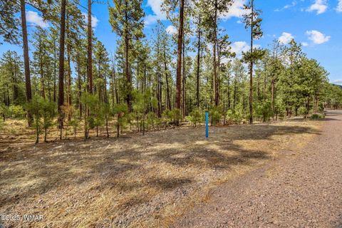 Tiny photo for TBD CR2325, Alpine, AZ 85920 (MLS # 256739)