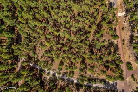 Tiny photo for TBD CR2325, Alpine, AZ 85920 (MLS # 256739)