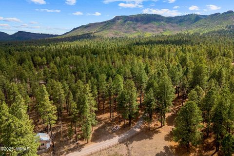 Tiny photo for TBD CR2325, Alpine, AZ 85920 (MLS # 256739)