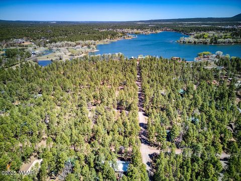 Tiny photo for 2813 Summer Drive, Lakeside, AZ 85929 (MLS # 257697)