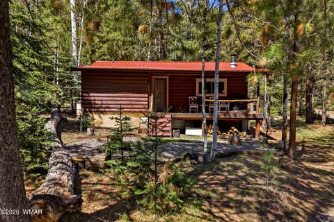 Tiny photo for 8 County Road 1006, Greer, AZ 85927 (MLS # 260727)