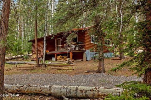 Photo of 8 County Road 1006, Greer, AZ 85927 (MLS # 260727)