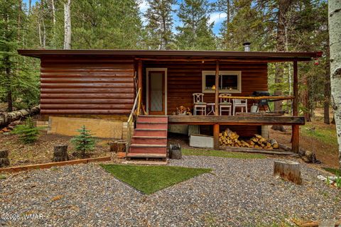 Tiny photo for 8 County Road 1006, Greer, AZ 85927 (MLS # 260727)