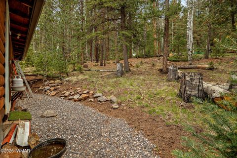Tiny photo for 8 County Road 1006, Greer, AZ 85927 (MLS # 260727)