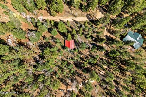 Tiny photo for 8 County Road 1006, Greer, AZ 85927 (MLS # 260727)