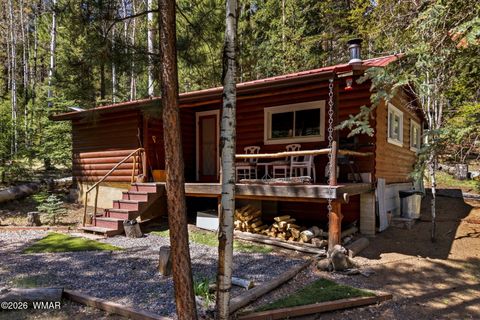 Tiny photo for 8 County Road 1006, Greer, AZ 85927 (MLS # 260727)