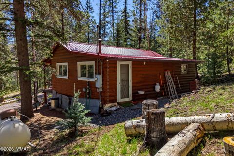 Tiny photo for 8 County Road 1006, Greer, AZ 85927 (MLS # 260727)