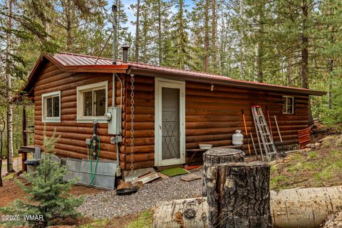 Tiny photo for 8 County Road 1006, Greer, AZ 85927 (MLS # 260727)