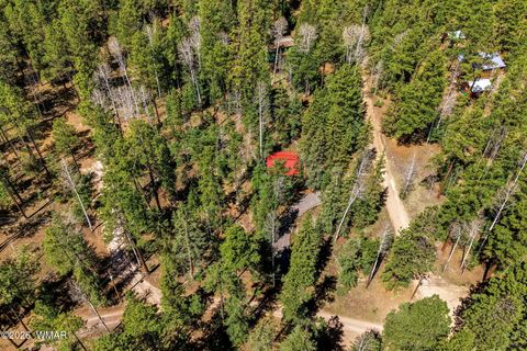 Tiny photo for 8 County Road 1006, Greer, AZ 85927 (MLS # 260727)
