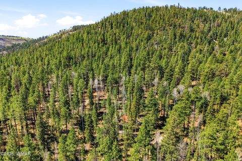Tiny photo for 8 County Road 1006, Greer, AZ 85927 (MLS # 260727)