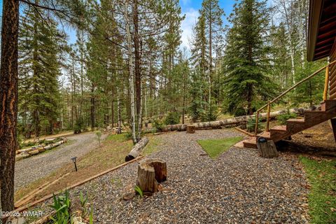Tiny photo for 8 County Road 1006, Greer, AZ 85927 (MLS # 260727)