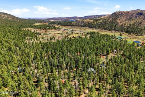Tiny photo for 8 County Road 1006, Greer, AZ 85927 (MLS # 260727)