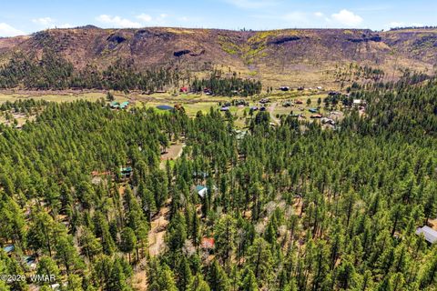Tiny photo for 8 County Road 1006, Greer, AZ 85927 (MLS # 260727)