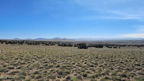 Tiny photo for 69 N3440, Concho, AZ 85924 (MLS # 258498)