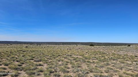 Tiny photo for 69 N3440, Concho, AZ 85924 (MLS # 258498)
