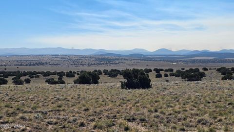 Tiny photo for 69 N3440, Concho, AZ 85924 (MLS # 258498)
