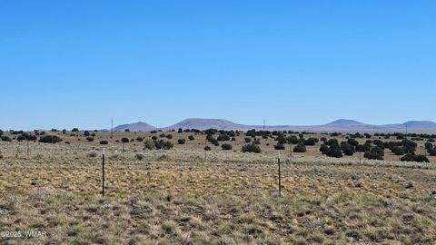 Tiny photo for 69 N3440, Concho, AZ 85924 (MLS # 258498)