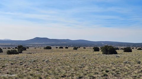 Tiny photo for 69 N3440, Concho, AZ 85924 (MLS # 258498)