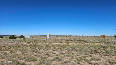 Tiny photo for 69 N3440, Concho, AZ 85924 (MLS # 258498)