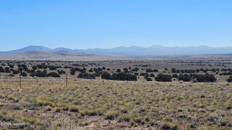 Tiny photo for 69 N3440, Concho, AZ 85924 (MLS # 258498)