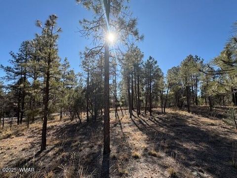 Tiny photo for 3211 W Black Oak Loop, Show Low, AZ 85901 (MLS # 259080)