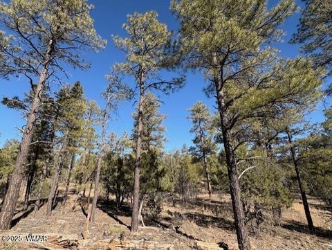 Tiny photo for 3211 W Black Oak Loop, Show Low, AZ 85901 (MLS # 259080)