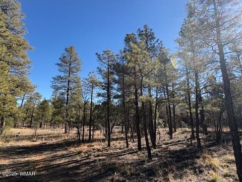 Tiny photo for 3211 W Black Oak Loop, Show Low, AZ 85901 (MLS # 259080)