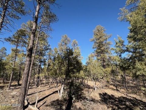 Tiny photo for 3211 W Black Oak Loop, Show Low, AZ 85901 (MLS # 259080)