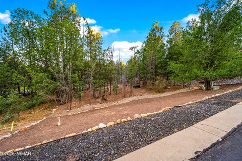 Tiny photo for 2641 S Marshalls Run, Show Low, AZ 85901 (MLS # 262042)