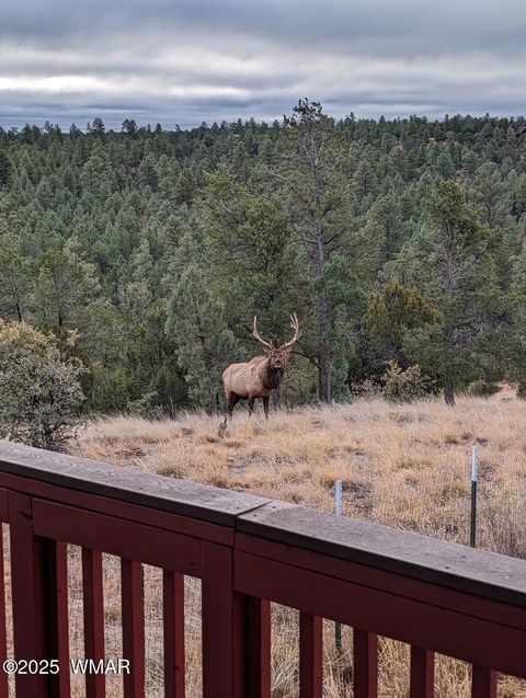 Tiny photo for 2901 Ridge Circle, Overgaard, AZ 85933 (MLS # 255738)