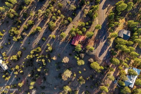 Tiny photo for 2901 Ridge Circle, Overgaard, AZ 85933 (MLS # 255738)