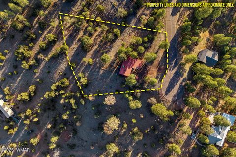 Tiny photo for 2901 Ridge Circle, Overgaard, AZ 85933 (MLS # 255738)