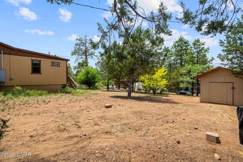 Tiny photo for 3384 Turkey Run, Overgaard, AZ 85933 (MLS # 256290)