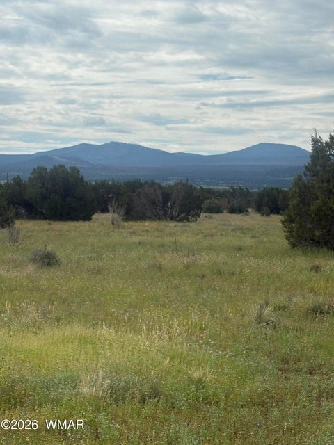 Photo of 16 N N3111, Vernon, AZ 85940 (MLS # 263272)