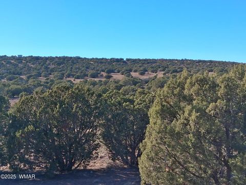 Tiny photo for SW N8716, Concho, AZ 85924 (MLS # 258857)