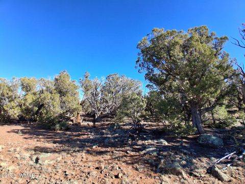 Tiny photo for SW N8716, Concho, AZ 85924 (MLS # 258857)