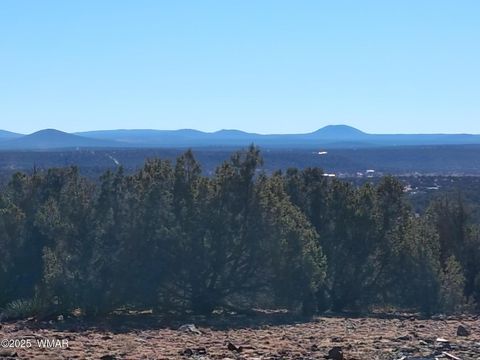 Photo of SW N8716, Concho, AZ 85924 (MLS # 258857)