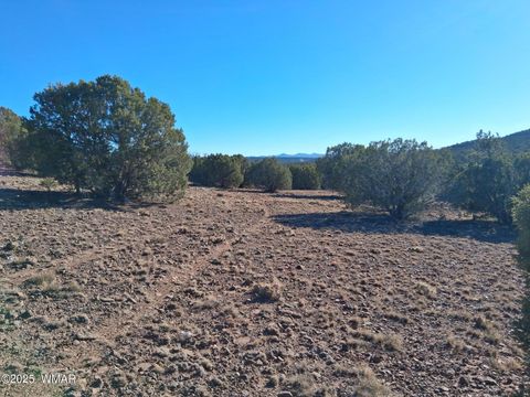 Tiny photo for SW N8716, Concho, AZ 85924 (MLS # 258857)